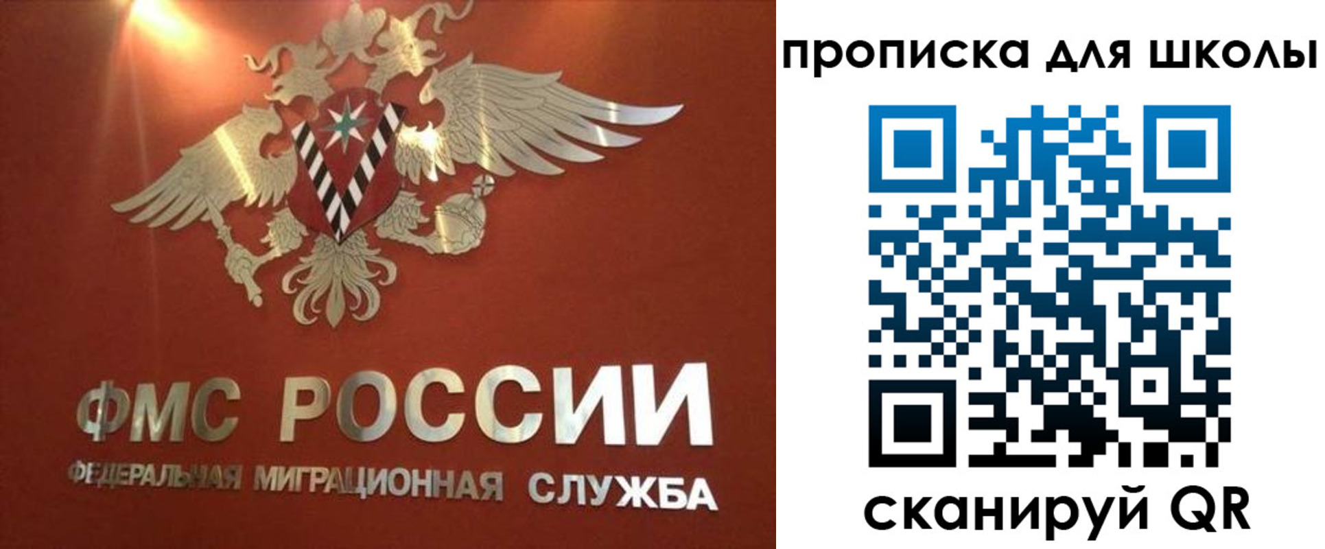 прописка от собственника в Волосово